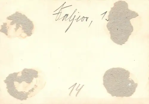 Nackte Soldaten Technischen Dienst am Protzewagen Vajevo Serbien