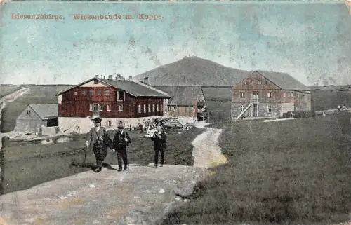 Riesengebirge Wiesenbaude m. Koppe Schlesien Postkarte AK