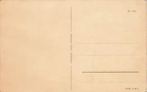 Schlossstraße mit Postamt in Züllichau Sulechów Ostbrandenburg Postkarte AK