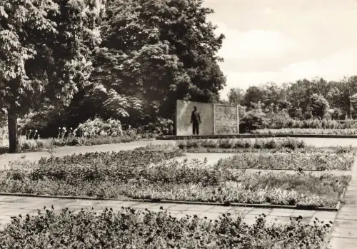 VVN Denkmal in Senftenberg Brandenburg Postkarte AK