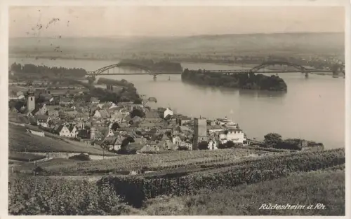 Blick auf Rüdesheim am Rhein Hessen Postkarte AK 1929