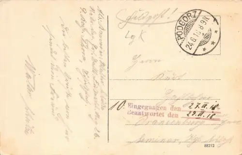 Thorn (Toruń) Weichselpartie mit Eisenbahnbrücke Feldpost AK 1918