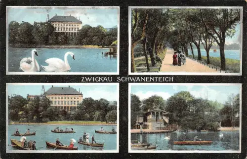 Schwanenteich in Zwickau Sachsen Postkarte AK 1909