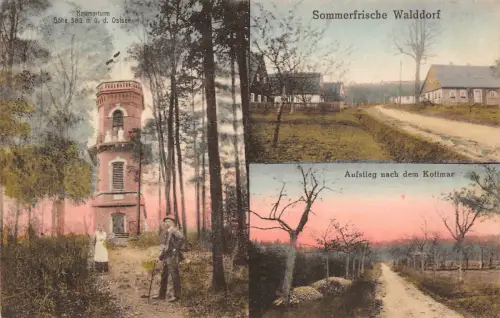 Sommerfrische Walddorf mit Kottmarturm Sachsen Postkarte AK