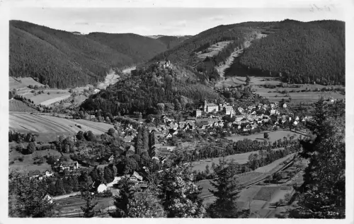 Leutenberg Blick von der Wandslebhütte AK 1938