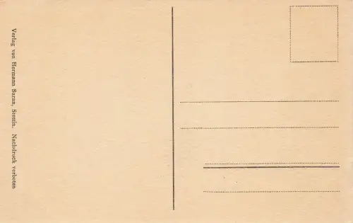 Bleichholm mit Dampfer Alt Stettin Szczecin Pommern Postkarte AK