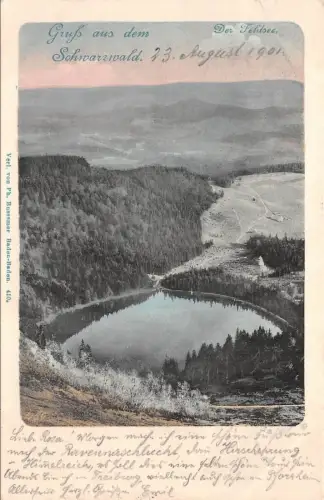 Gruss aus dem Schwarzwald Der Feldsee Baden-Württemberg Postkarte AK 1901