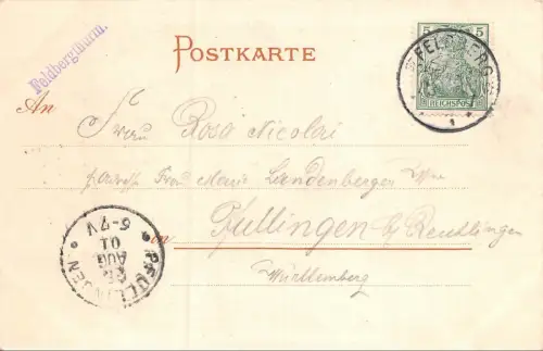Gruss aus dem Schwarzwald Der Feldsee Baden-Württemberg Postkarte AK 1901