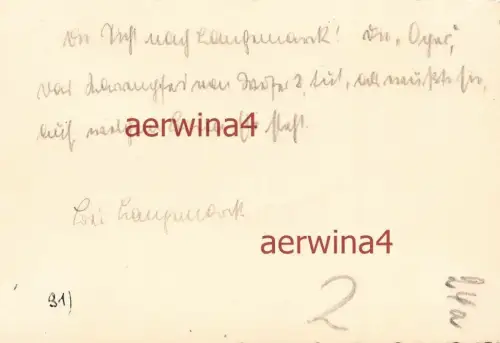 Vormarsch Pferd Blick auf Langemark Flandern Belgien