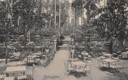Pelzmühle Bes. Arthur Peter Bahnstation Siegmar Postkarte AK 1919