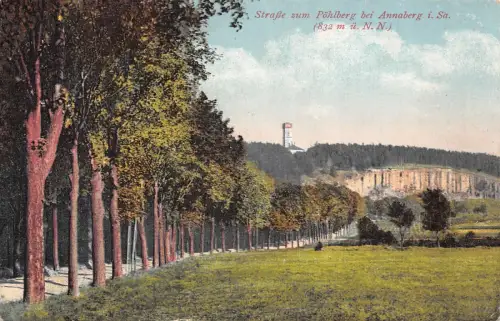 Straße zum Pöhlberg bei Annaberg i. Sa. Postkarte AK 1924