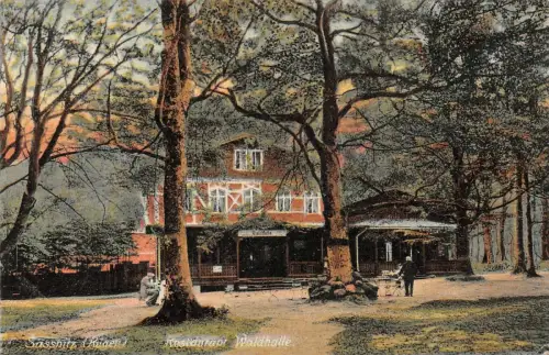 Sassnitz (Rügen) Restaurant Waldhalle Postkarte 1916