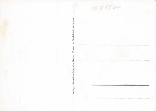 Dom Posen Ansicht Postkarte AK