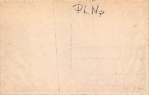 Ostsee- u. Solbad Swinemünde Blick vom Kurhausturm Postkarte AK