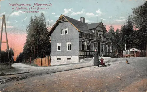Waldrestaurant Mooshaide Zwönitz Erzgebirge Sachsen Postkarte AK 1913