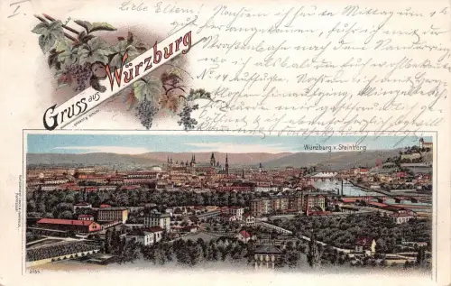 Gruss aus Würzburg v. Steinberg Ansicht Panorama Postkarte AK 1898