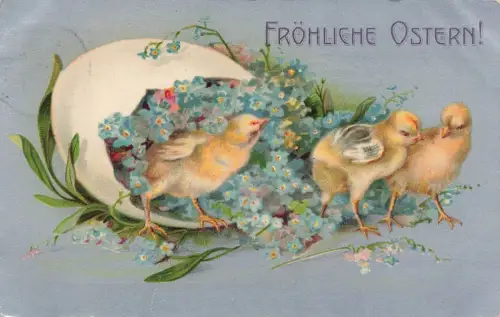 Fröhliche Ostern Küken Vergiss mein nicht Postkarte 1908
