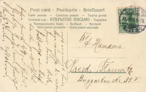 Fröhliche Ostern Küken Vergiss mein nicht Postkarte 1908