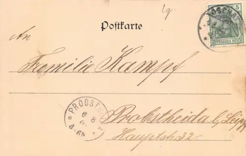 Oschatz Neumarkt Postkarte 1902