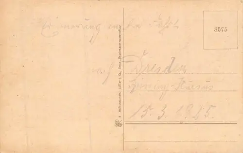 Totalansicht von Reichenbach im Vogtland Sachsen Postkarte AK 1925