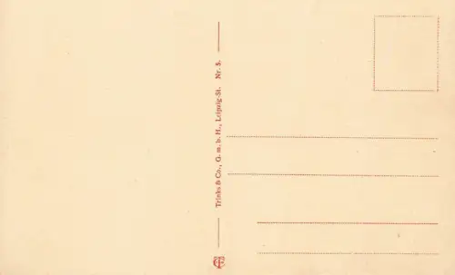 Oder-Brücke und Katholische Kirche in Oppeln Schlesien Postkarte AK