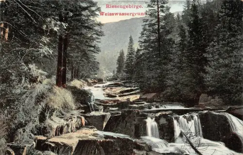 Sommerfrische Riesengebirge Weisswassergrund Postkarte