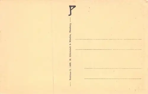 Waren i. Meckl. Müritzsee Postkarte AK