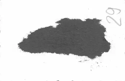 Eingang Schloß Eisenstadt Österreich