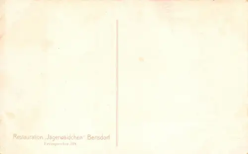 Bertsdorf Restaurant Jägerwäldchen an der Strasse Postkarte