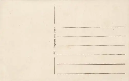 Seebad Swinemünde (Świnoujście) Panorama Osten Postkarte AK