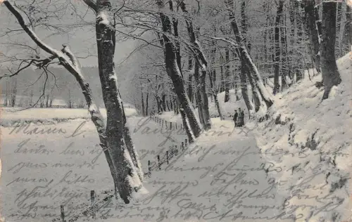 Malerische Winterlandschaften Wellingsbüttel Postkarte AK 1903