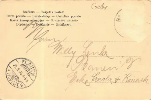 Gruss aus dem Fichtelgebirge Kurort Berneck Totalansicht Ruine Amt Stein AK 1904