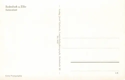 Panoramakarte Café und Sparkasse Bodenbach an der Elbe Sudetenland Postkarte AK