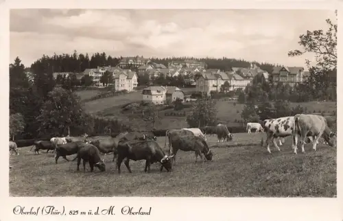 Oberhof (Thür.) 825 m ü. d. M. Oberland Wintersportplatz Postkarte AK 1937