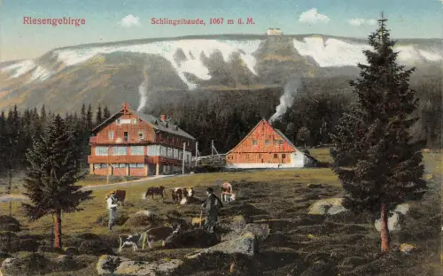 Riesengebirge Schlingelbaude 1067 m ü. M. Postkarte