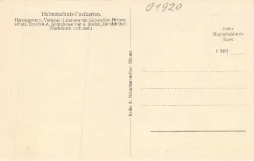 Gelenau b. Kamenz Linden am Gasthof Postkarte AK