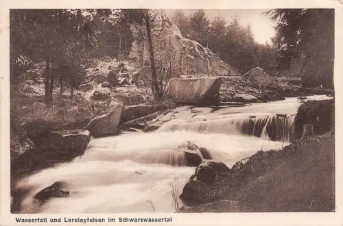 Wasserfall und Loreleyfelsen im Schwarzwassertal Postkarte AK 1928