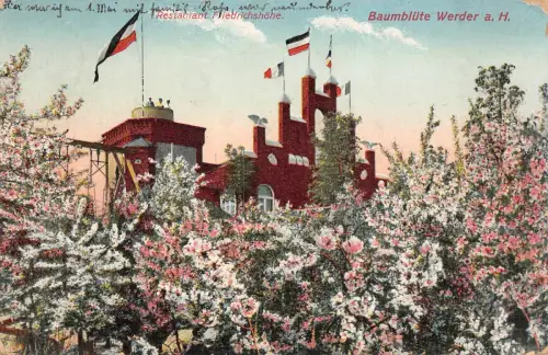 Restaurant Friedrichshöhe Baumblüte Werder a. H. Postkarte AK