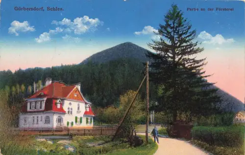 Partie an der Försterei Görbersdorf Sokołowsko Schlesien Postkarte AK 1916