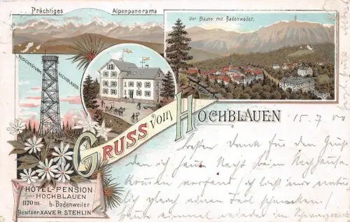 Gruss vom Hochblauen Prächtiges Alpenpanorama Badenweiler Postkarte AK 1900