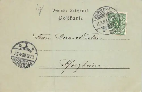 Gruss aus Bad Rippoldsau Baden-Württemberg Postkarte AK 1898