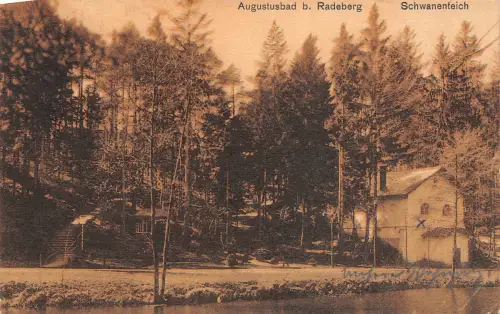 Augustusbad b. Radeberg Schwanenteich Postkarte AK 1908