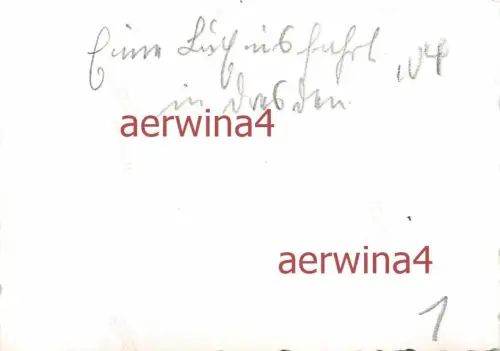 Soldaten bei Schlittenfahrt in Dresden