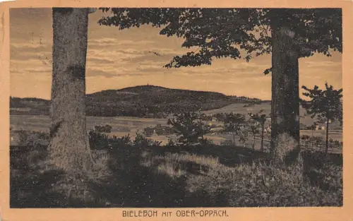 Bieleboh mit Ober-Oppach sächs. Oberlausitz Postkarte AK 1921