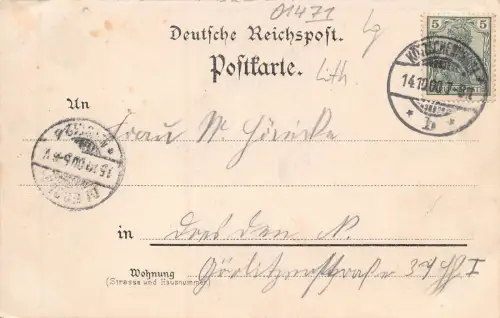 Gruss vom Weinbauer K. Mietschke Naundorf-Kötzschenbroda Litho Postkarte AK 1900