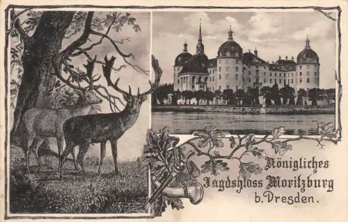 Königliches Jagdschloss Moritzburg b. Dresden Postkarte AK