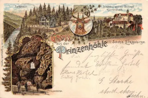 Gruß aus der Prinzenhöhle Forsthaus und Schloss Erzgebirge Sachsen Litho AK 1900
