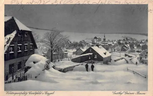 Wintersportplatz Carlsfeld i. Erzgeb. Gasthof Grüner Baum Postkarte AK 1925