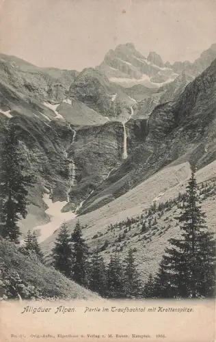 Partie im Traufbachtal mit Krottenspitze Allgäuer Alpen Bayern Postkarte AK 1907