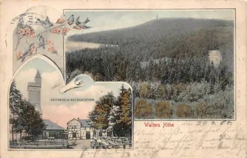 Walthers Höhe Geyer i/Erzgeb. Gasthaus m. Aussichtsturm Postkarte AK 1907